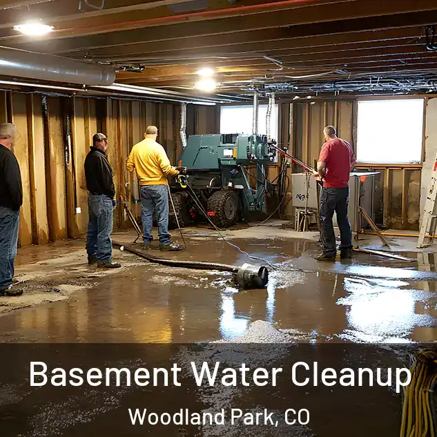  Basement Water Cleanup Woodland Park, CO