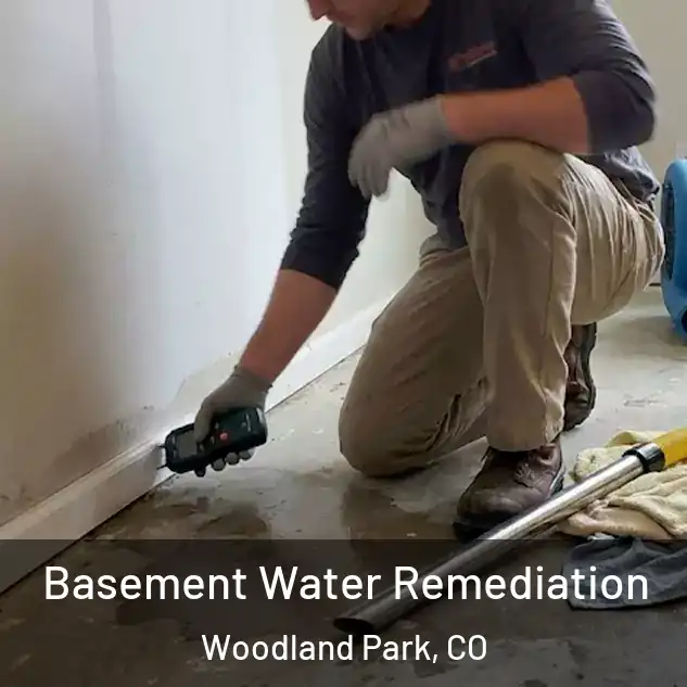  Basement Water Remediation Woodland Park, CO