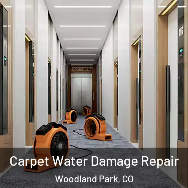 Carpet Water Damage Repair Woodland Park, CO