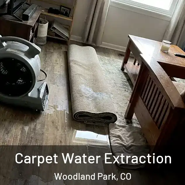  Carpet Water Extraction Woodland Park, CO