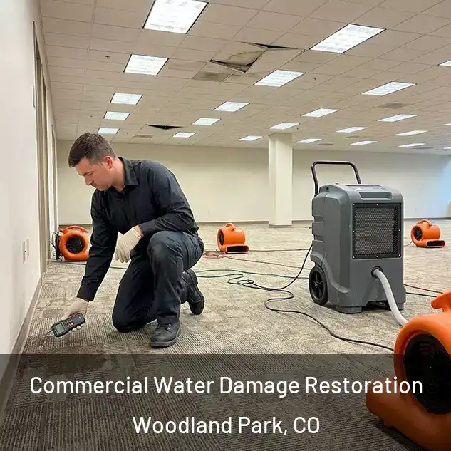  Commercial Water Damage Restoration Woodland Park, CO