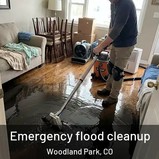  Emergency flood cleanup Woodland Park, CO
