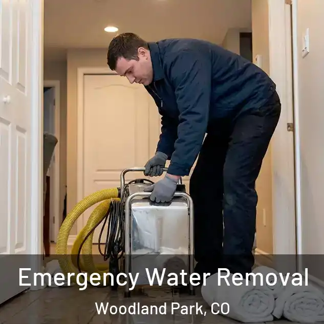  Emergency Water Removal Woodland Park, CO