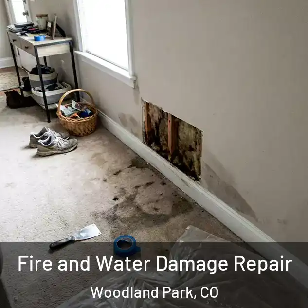  Fire and Water Damage Repair Woodland Park, CO