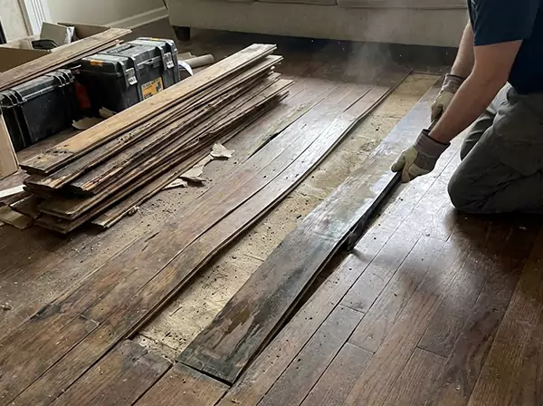 Water Damage Drying in Woodland Park