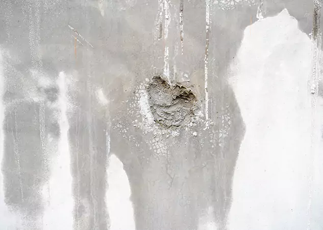 Your Mold Mitigation Solutions Partner in Woodland Park, CO