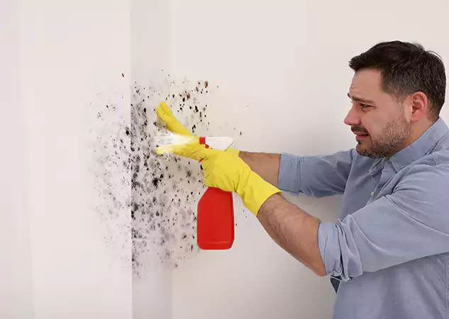 Your Water Mold Fire Restoration Partner in Woodland Park, CO