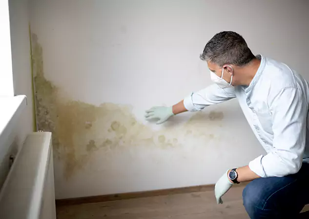 Reach Our Remediation Team Before Damage Grows in Woodland Park, CO!
