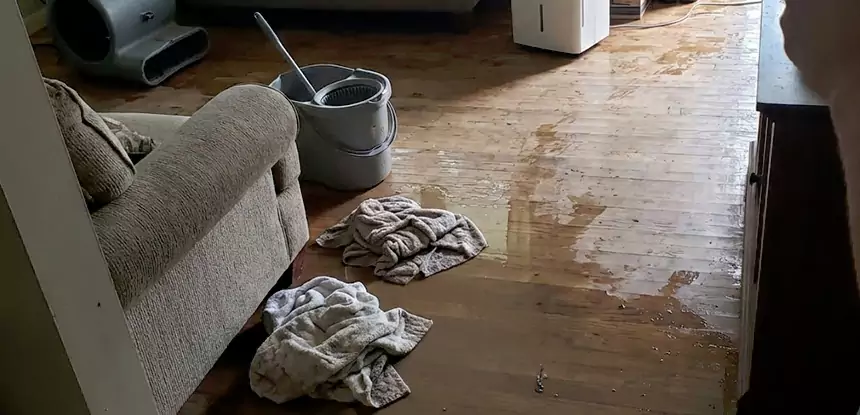 Professional Basement Water Remediation Services in Woodland Park, CO