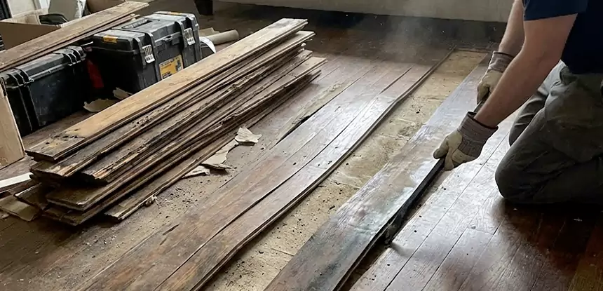 Wood Rot and Fungus Repair in Woodland Park