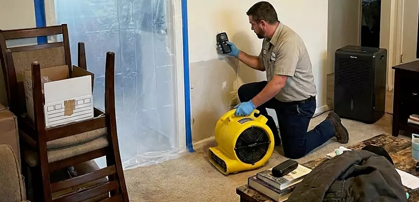 Carpet Water Damage Repair Woodland Park