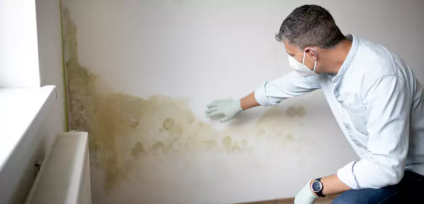 Mold and Water Damage Repair in Woodland Park