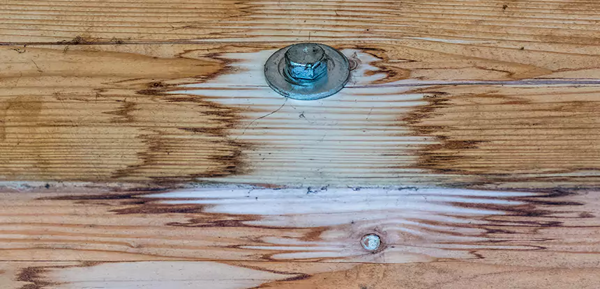 Fixing Water Marks on Wood in Woodland Park