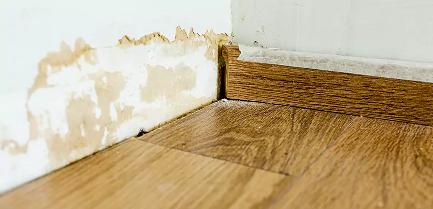 Professional Fix Water Damaged Wood Services in Woodland Park, CO