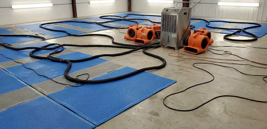 Professional Flooded Carpet Drying Services in Woodland Park, CO