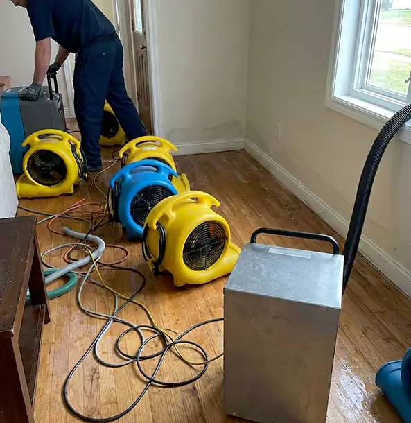 Why Woodland Park Property Owners Choose Woodland Park Restoration Pro for Remediation?