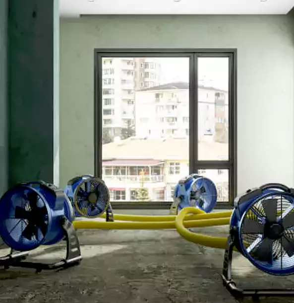 Why Woodland Park Property Owners Trust Woodland Park Restoration Pro for Water Damage Drying?