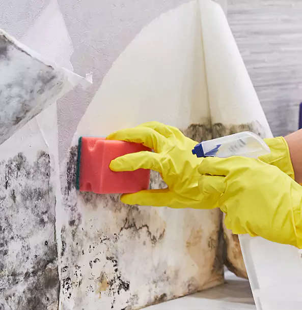 Why Woodland Park Trusts Woodland Park Restoration Pro for Mold and Water Restoration?