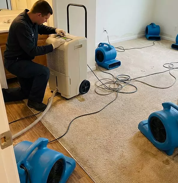 Why Woodland Park Homeowners and Businesses Trust Woodland Park Restoration Pro for Carpet Drying?