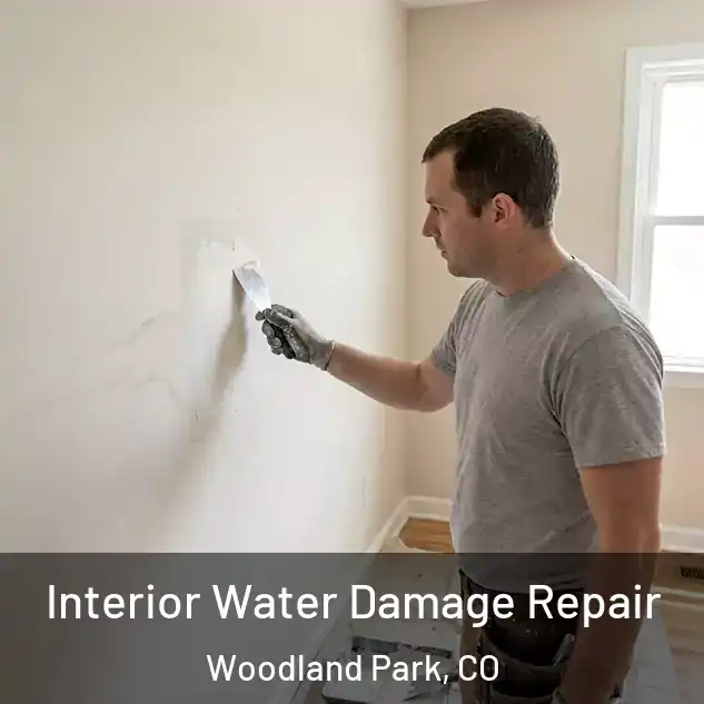 Interior Water Damage Repair Woodland Park, CO