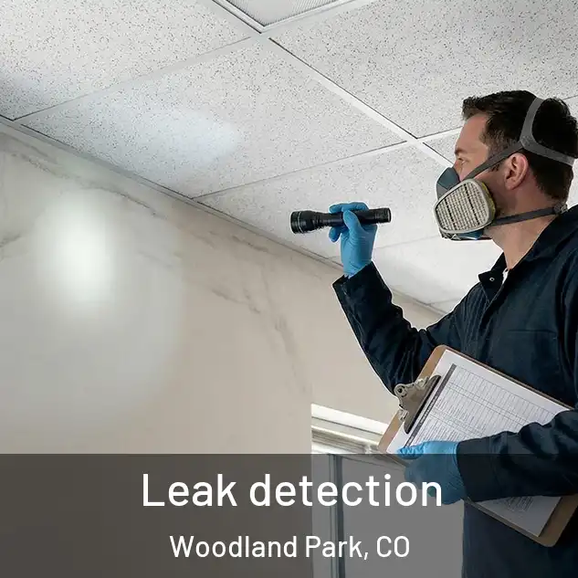 Leak detection Woodland Park, CO