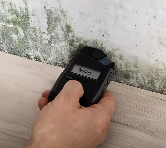 Mold Remediation Service Woodland Park
