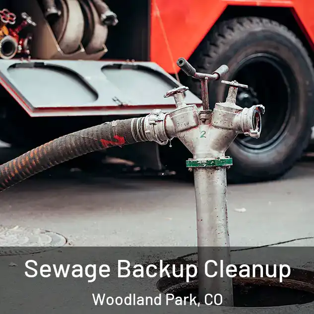  Sewage Backup Cleanup Woodland Park, CO