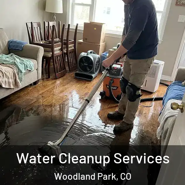  Water Cleanup Services Woodland Park, CO