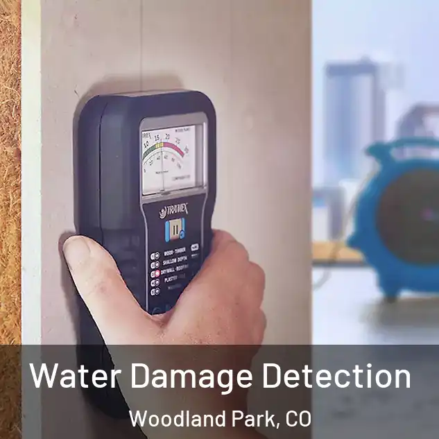  Water Damage Detection Woodland Park, CO