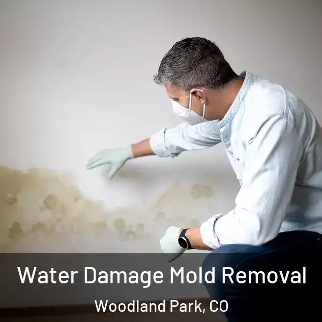  Water Damage Mold Removal Woodland Park, CO