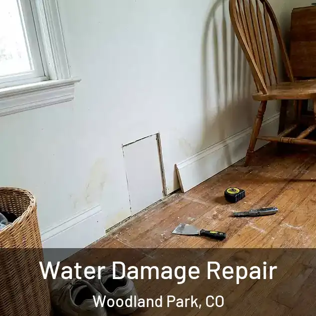  Water Damage Repair Woodland Park, CO