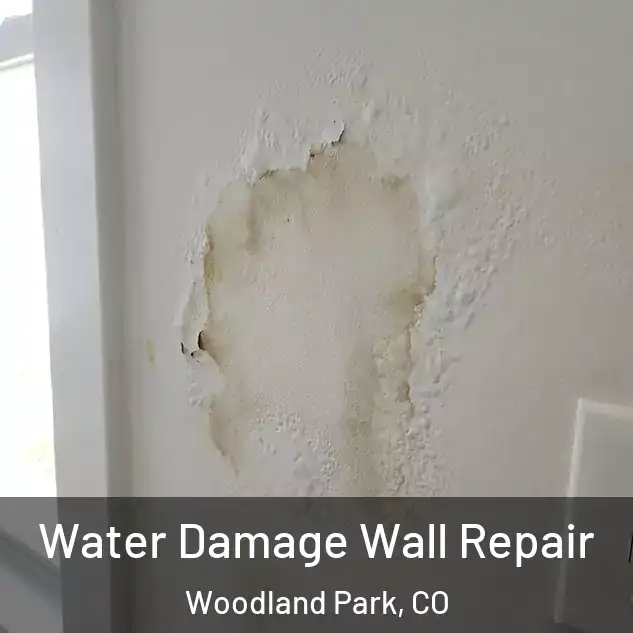  Water Damage Wall Repair Woodland Park, CO