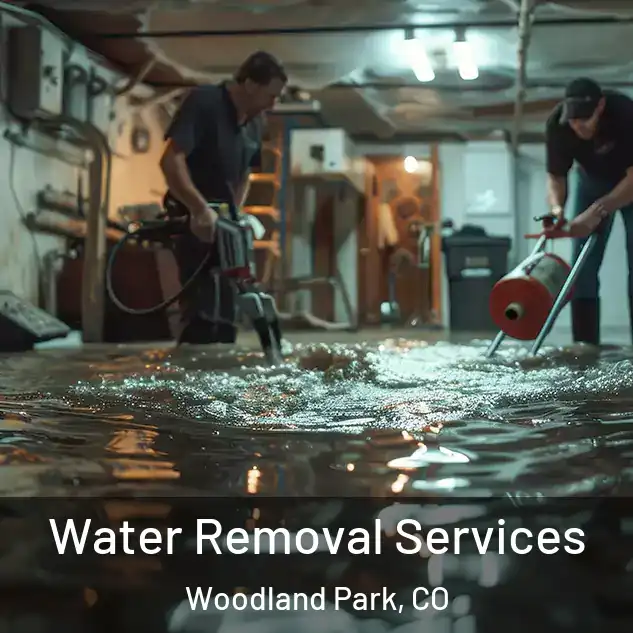  Water Removal Services Woodland Park, CO