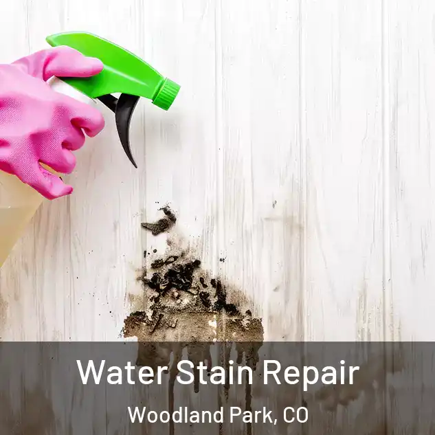  Water Stain Repair Woodland Park, CO